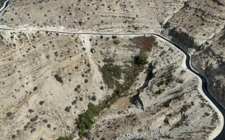 "نحلة بالقلب" تزرع 3 آلاف شجرة