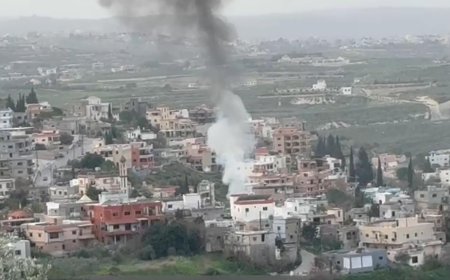 ماذا كشف المتحدث باسم الجيش الاسرائيلي عن غارة يانوح؟