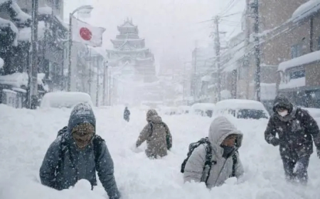 إرتفاع حصيلة ضحايا العواصف الثلجية في اليابان.. كم بلغت؟