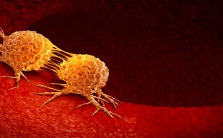 اطلاق الحملة الوطنية للوقاية من السرطان