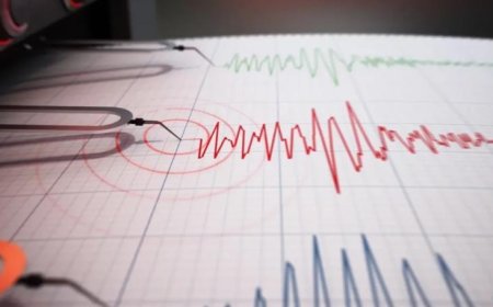 هزة في إبل السقي