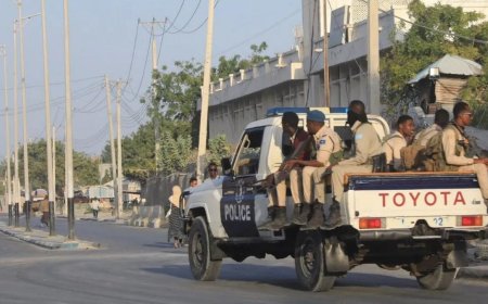 المجندون من الصومال.. والمدربون ضباط من السودان