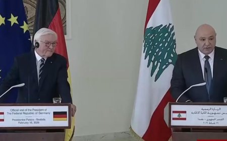 عون أمام الرئيس الألماني: مصرون على السلام المطلق من دون اي شروط