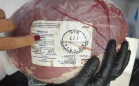 لبيعهم لحوم مبردة ومثلجة.. 3 محاضر ضبط لملاحم في الجنوب