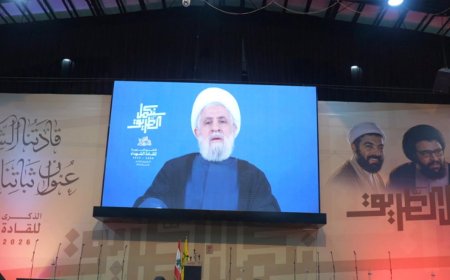 نعيم قاسم: الحكومة ترتكب خطيئة كبرى