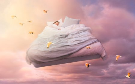 داخل غرفة النوم: ماذا يحدث لعقولنا حين نحلم؟