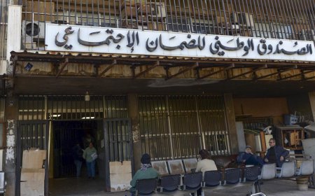 شركة واجراء وهميين.. والضمان يدعي