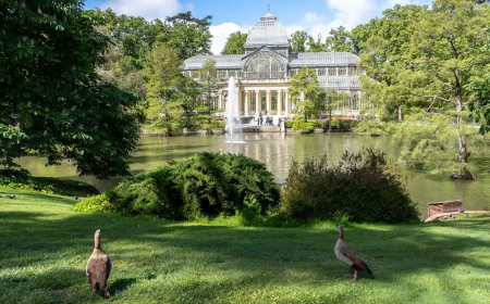 مدريد تحت المجهر: رحلة في عاصمة لا تنام بين القصور والمتاحف والحدائق
