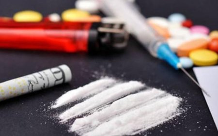 "فان" لنقل المخدرات.. والجيش بالمرصاد