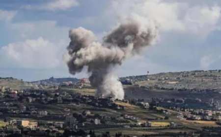 لجنة الحوار اللبناني الفلسطيني تدين الغارة على عين الحلوة