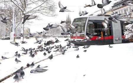 قتلى وتعطل حركة النقل بعاصفة ثلجية في النمسا