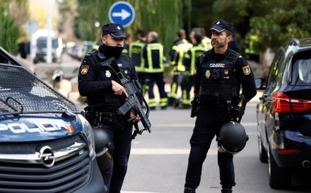 في اسبانيا.. تفكيك  شبكة لتهريب خشخاش الأفيون