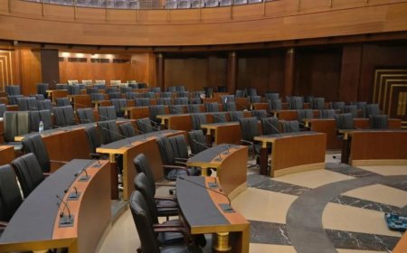 إنشاء مجلس الشيوخ قابل للتحقيق؟