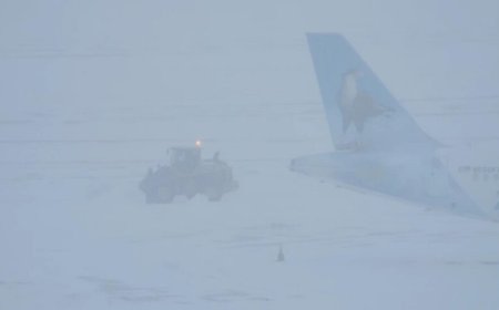 بسبب العاصفة الثلجية.. هذا ما حصل في نيويورك