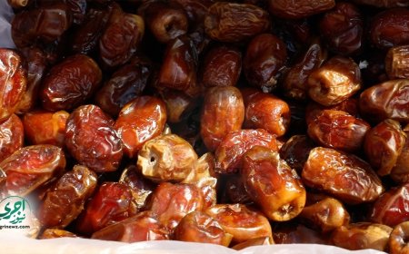 غذاء أساسي يمنح الجسم الطاقة.. ما لا تعرفونه عن فوائد التمر