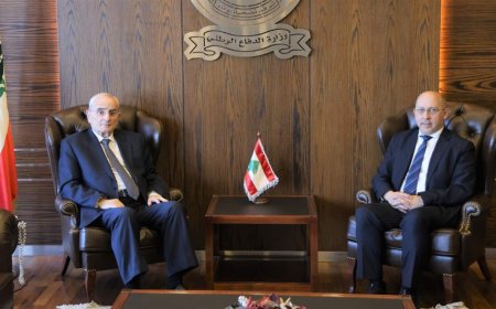 وزير الدفاع يلتقي آلان عون