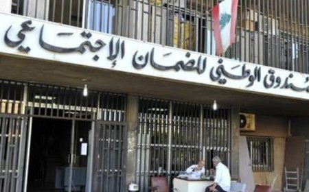 ايرادات التفتيش لعام 2025.. كم بلغت؟