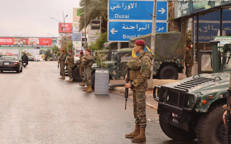 مؤتمر الدعم: أي سلاح سيمنح للبنان؟