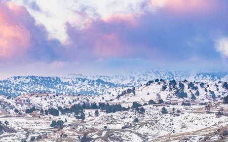 لأول مرة.. ثلوج عكار تلامس الـ 500 م