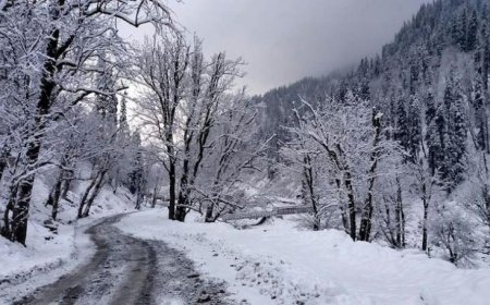 طرقات مقطوعة بسبب تراكم الثلوج