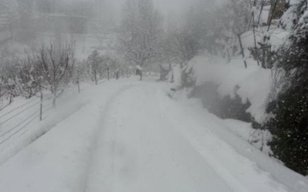 ثلوج في الضنية