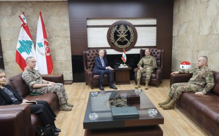 "مؤتمر باريس" بين قائد الجيش وزواره