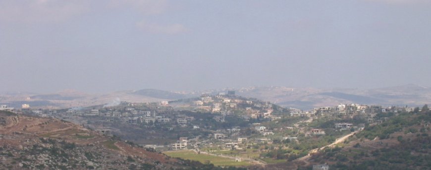 رش مواد سامة على المزروعات.. وقلق في عيتا الشعب