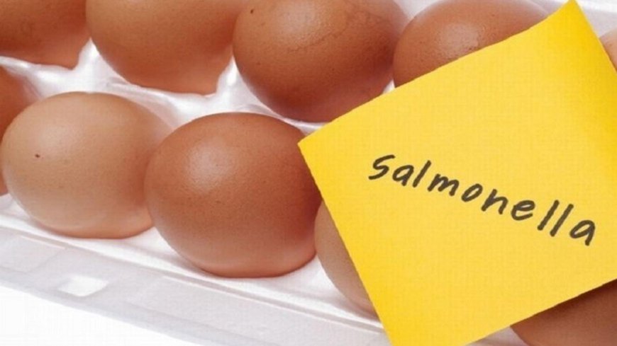 كيف نحمي أنفسنا من عدوى السالمونيلا؟
