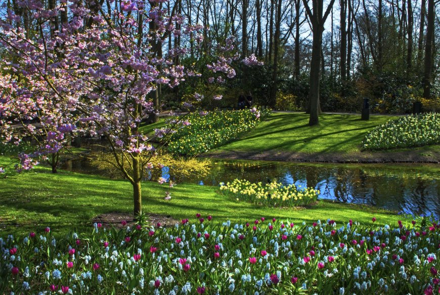 بعيدًا عن أمستردام… اكتشف هولندا الهادئة بين مدن التاريخ وقرى الزهور!