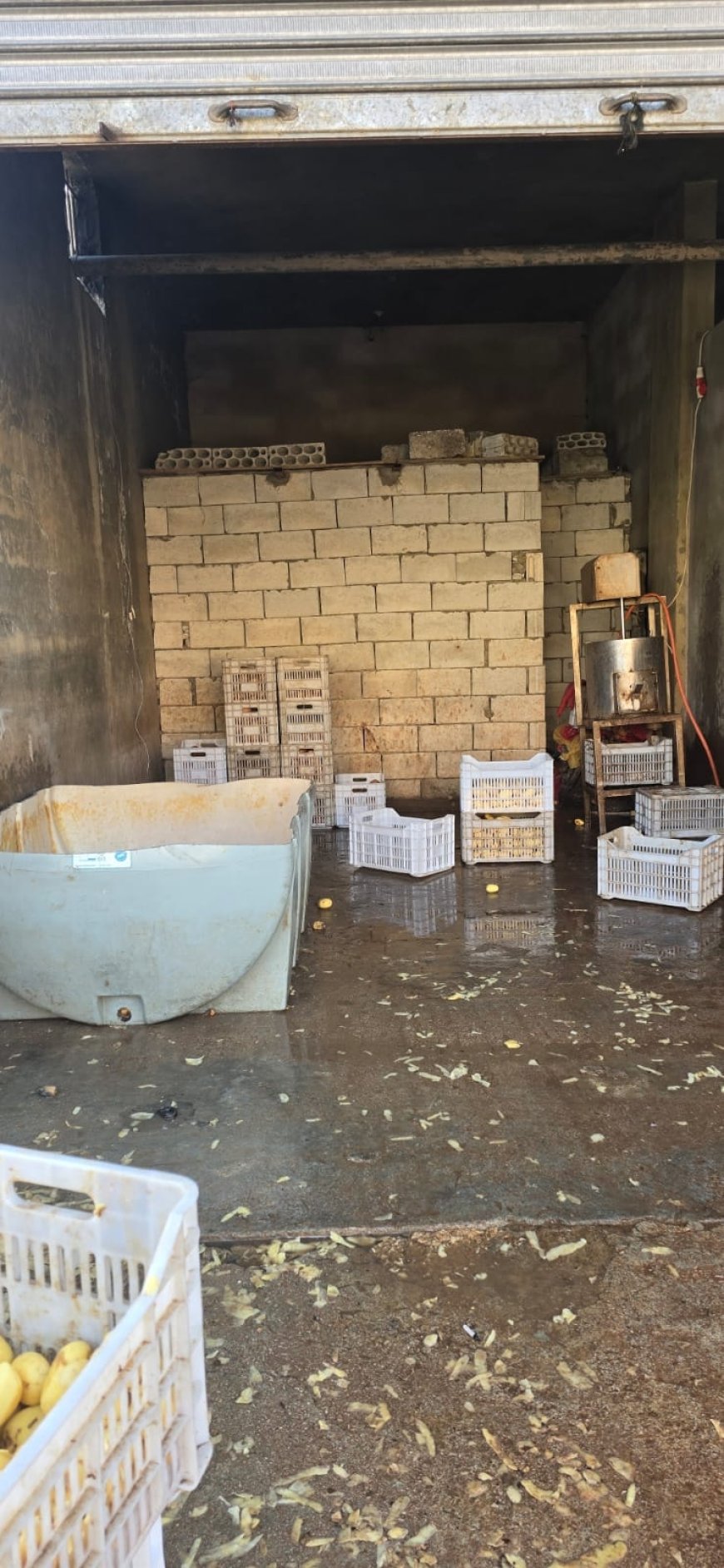 توم مغشوش بكميات كبيرة.. ومفرزة استقصاء البقاع تتدخل