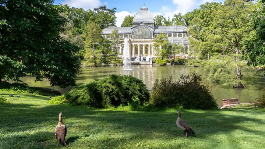 مدريد تحت المجهر: رحلة في عاصمة لا تنام بين القصور والمتاحف والحدائق