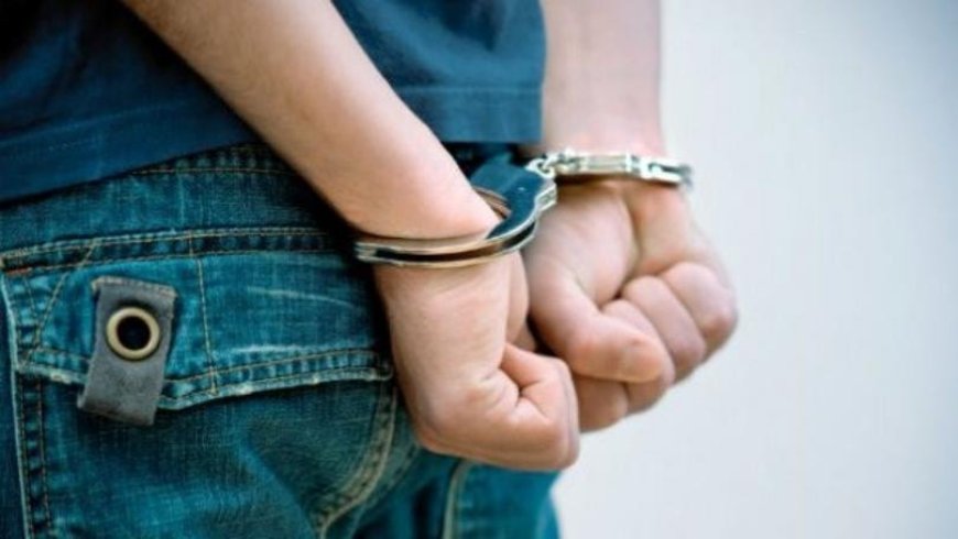 سرق مسدس حربي في جل الديب.. موظف بشركة أمن بقبضة "المعلومات"