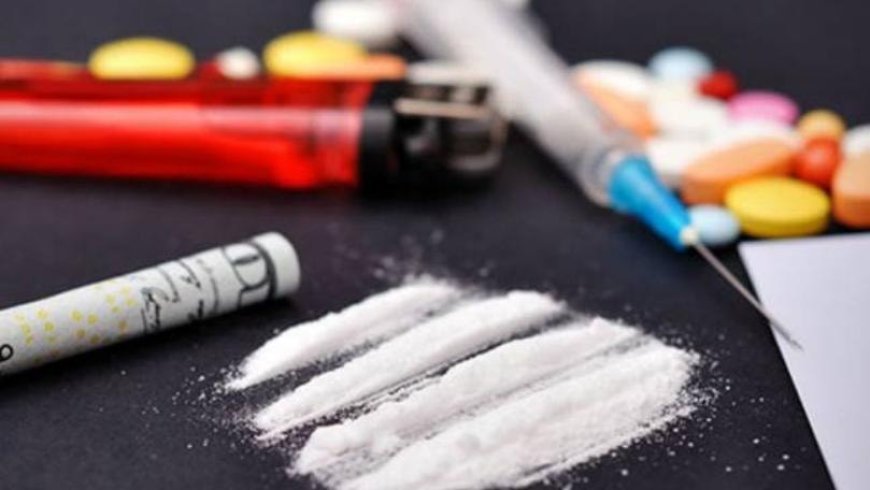 "فان" لنقل المخدرات.. والجيش بالمرصاد