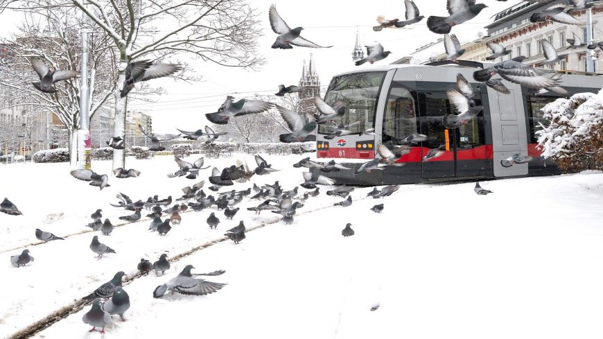 قتلى وتعطل حركة النقل بعاصفة ثلجية في النمسا