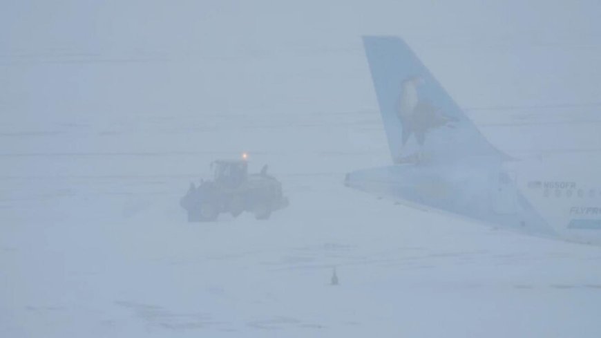 بسبب العاصفة الثلجية.. هذا ما حصل في نيويورك