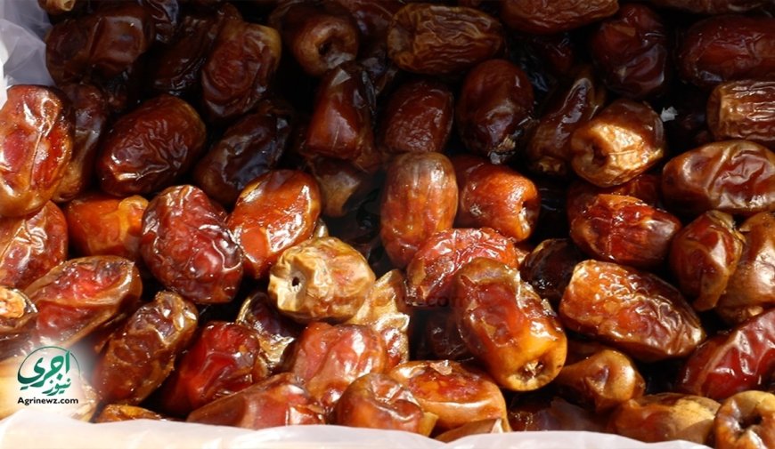 غذاء أساسي يمنح الجسم الطاقة.. ما لا تعرفونه عن فوائد التمر