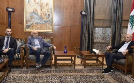 جنبلاط من عين التينة: بالتضامن والتكافل سنجتاز تلك المحنة