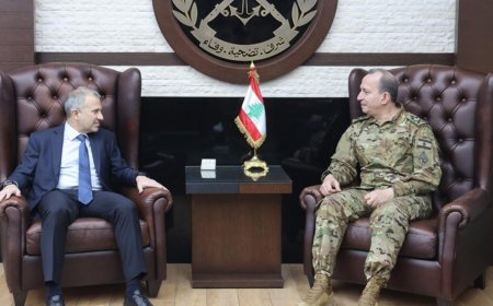 باسيل يزور قائد الجيش.. ويتضامن معه