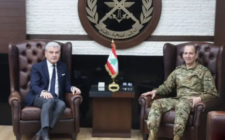 قائد الجيش يلتقي وزير الصناعة