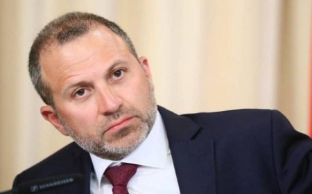 باسيل استقبل وفد "الاشتراكي"