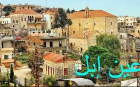 رئيس بلدية عين ابل يجول في الشريط الحدودي... هذا ما قاله