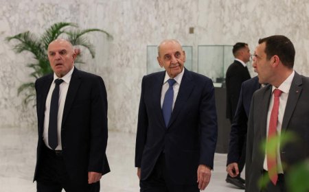 بري بين قبّعتين: "الأخ الأكبر" أو "المُنقذ"