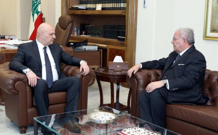 ماذا دار بين عون والمشنوق؟