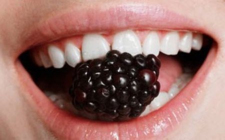 يحتوي مضادات الأكسدة.. ما لا تعرفونه عن التوت الأزرق