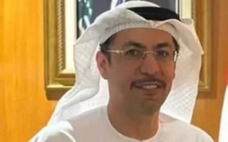 ترحيب إماراتي بحظر أنشطة حزب الله العسكرية