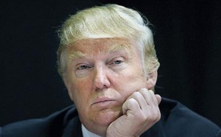 ترامب يتجه لتأجيل زيارته الى الصين