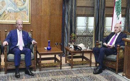 عيسى لبري: "Who can deliver"؟