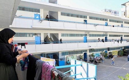 بالأرقام.. حصيلة النزوح في مراكز ايواء صيدا