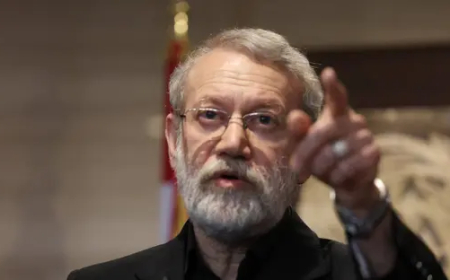 تنبأ بمقتل لاريجاني قبل 3 أيام.. متحدث سابق لنتنياهو يثير الجدل