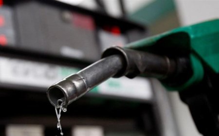 هل يخفض وزير الطاقة اسعار البنزين؟